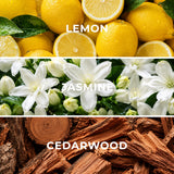 Day Dream DD10 fragrance notes - lemon, jasmine, cedarwood - Scent Horizon