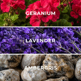 Dubai DB04 fragrance notes - geranium, lavender, ambergris - Scent Horizon