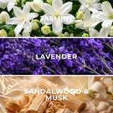 Lavender LR13 fragrance notes - jasmine, lavender, musk - Scent Horizon