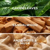 Malibu MB02 fragrance notes - green leaves, sandalwood, musk - Scent Horizon