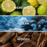 Rio de Janeiro RJ03 fragrance notes - bergamot, ocean, woody - Scent Horizon