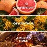 Royal Cashmere RC05 fragrance notes - grapefruit, osmanthus, musk - Scent Horizon
