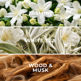 White Tea WT11 fragrance notes - jasmine, white tea, musk - Scent Horizon