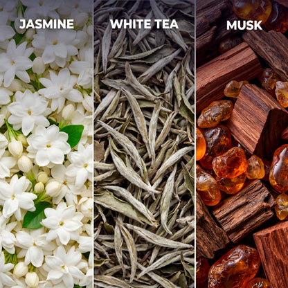 White Tea WT11 Hotel Scent Diffuser Oil | 1.69 Fl oz (50 ml) - Waterless Diffuser Oil Refill & Highly Concentrated Fragrance Oil, Diffuser Oil Scents Luxury, Hotel Oil Diffuser
